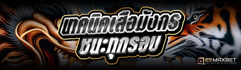 เทคนิคเสือมังกร ชนะทุกรอบ 